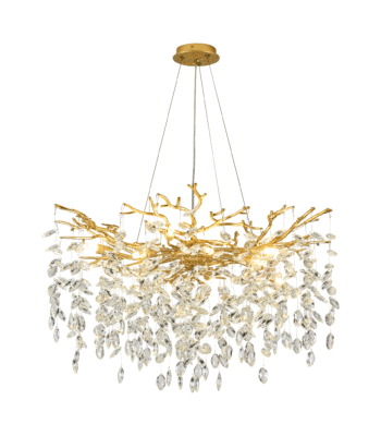 Lighting store 13 Chandelier7