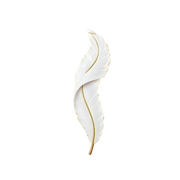 Elegant Feather Wall Lamp ， Light Luxury Design for Bedroom, Living Room, Entrance and TV Background Wall
